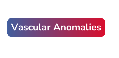 Vascular Anomalies Committee Meetings and Reports